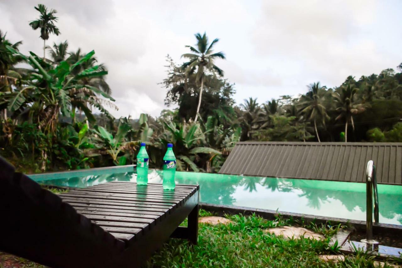 Rain Forest River Front Hotel Deniyaya Dış mekan fotoğraf