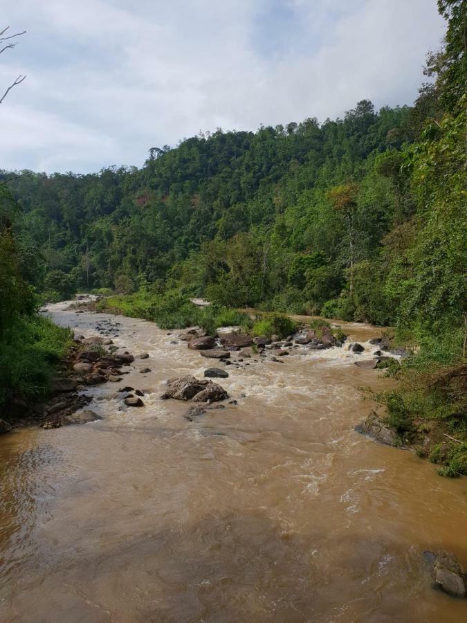 Rain Forest River Front Hotel Deniyaya Dış mekan fotoğraf