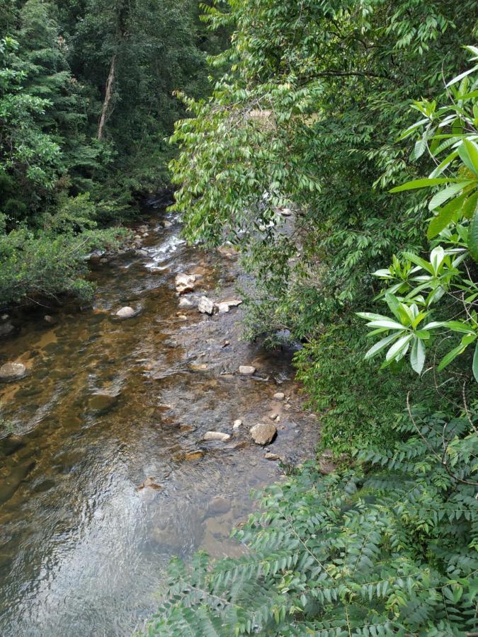 Rain Forest River Front Hotel Deniyaya Dış mekan fotoğraf